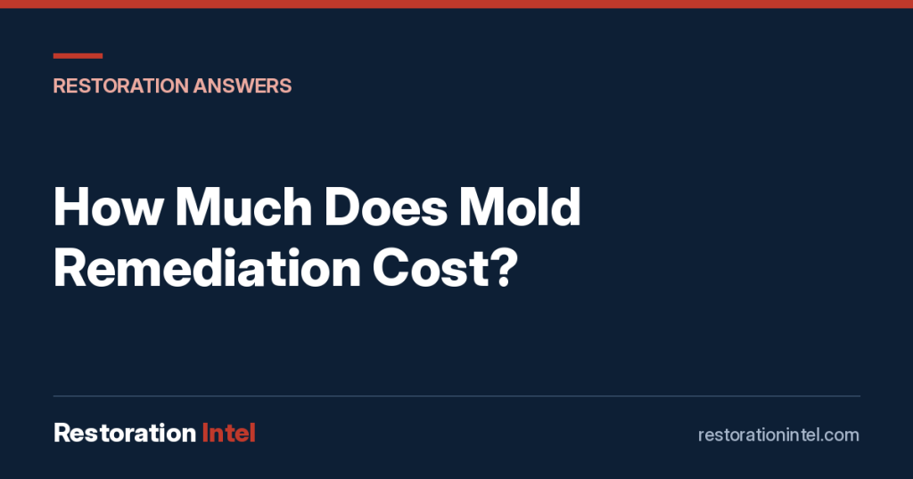How Much Does Mold Remediation Cost?